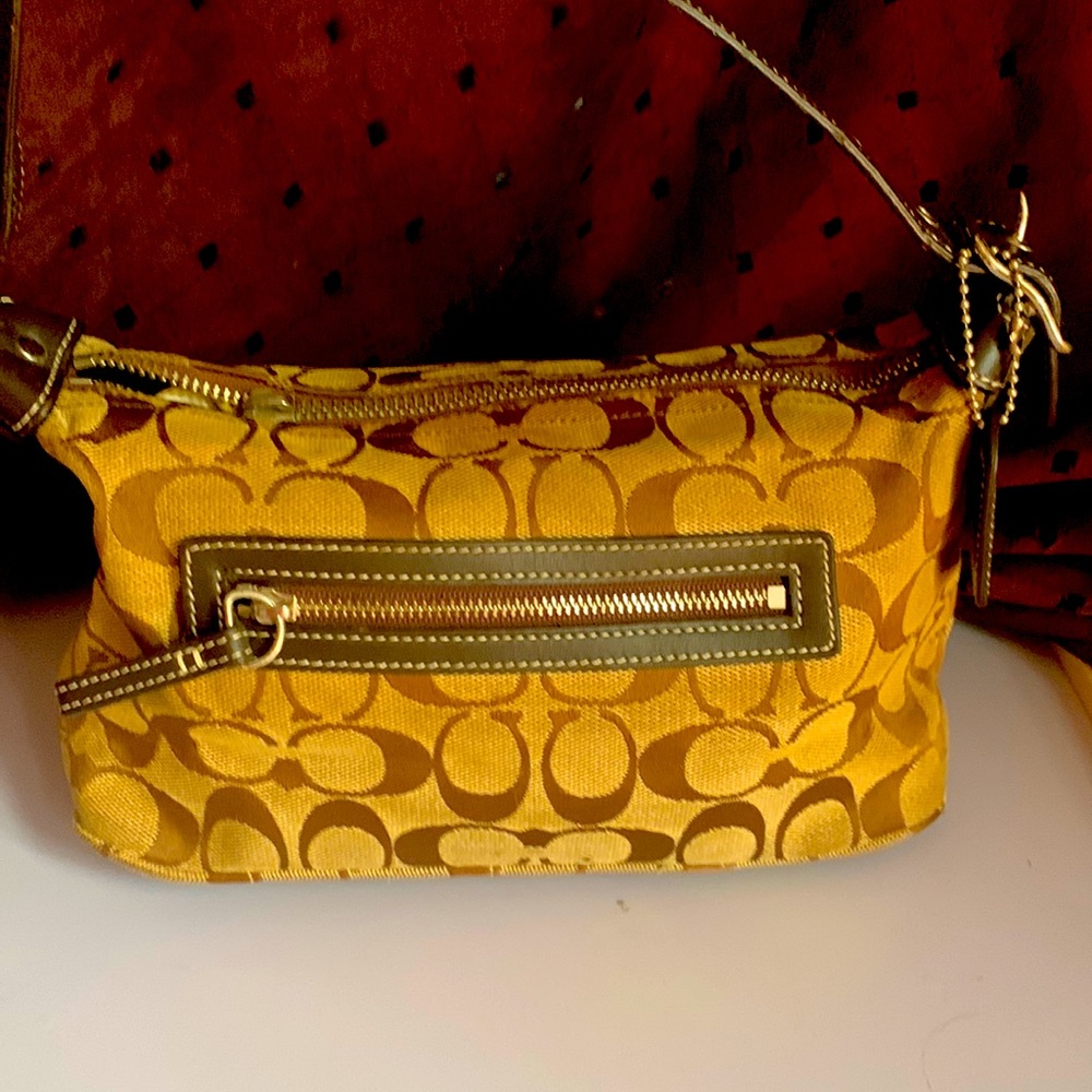 Coach mini bag